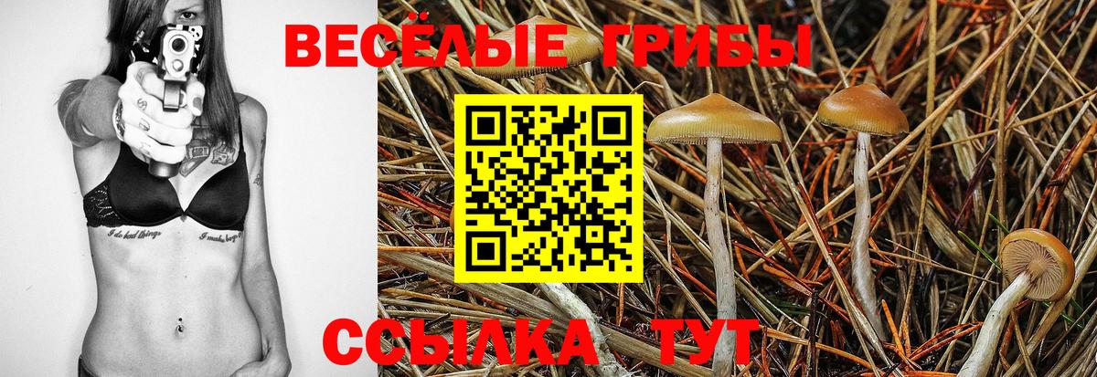 Галлюциногенные грибы GOLDEN TEACHER Ржев